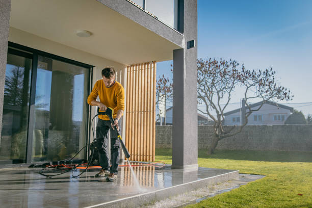 Best Building Exterior Washing  in Peosta, IA